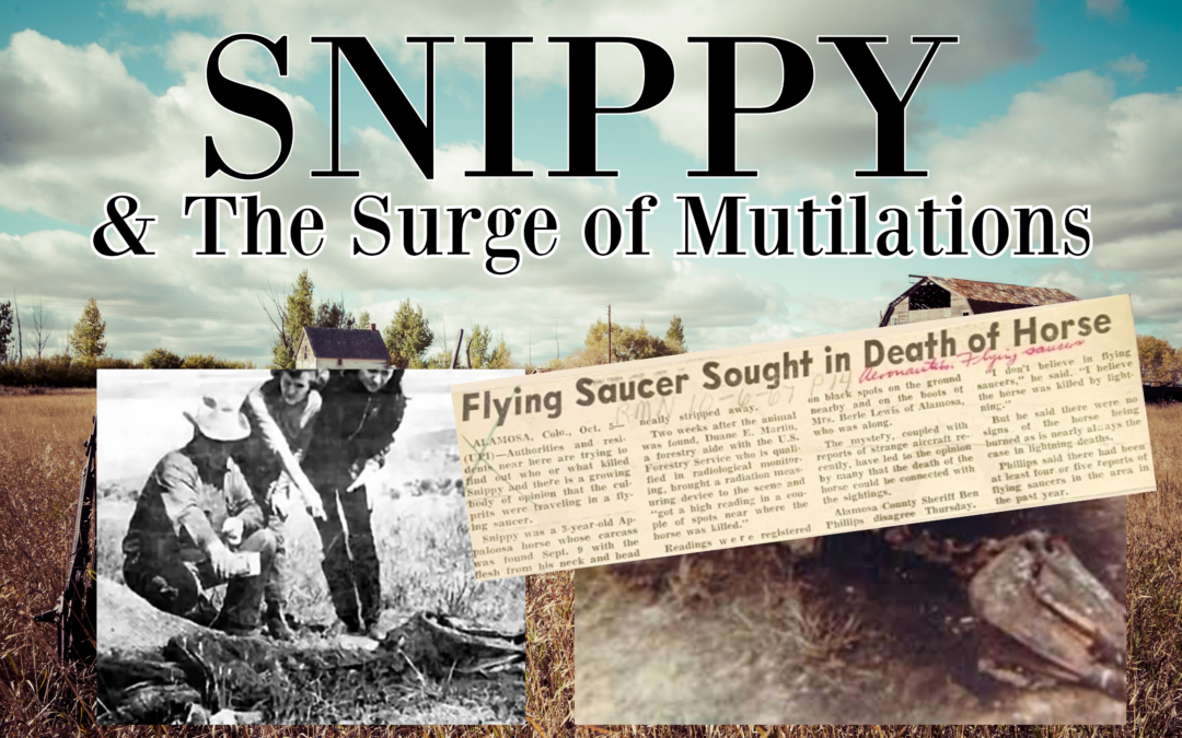 Snippy & The Surge of Mutilations