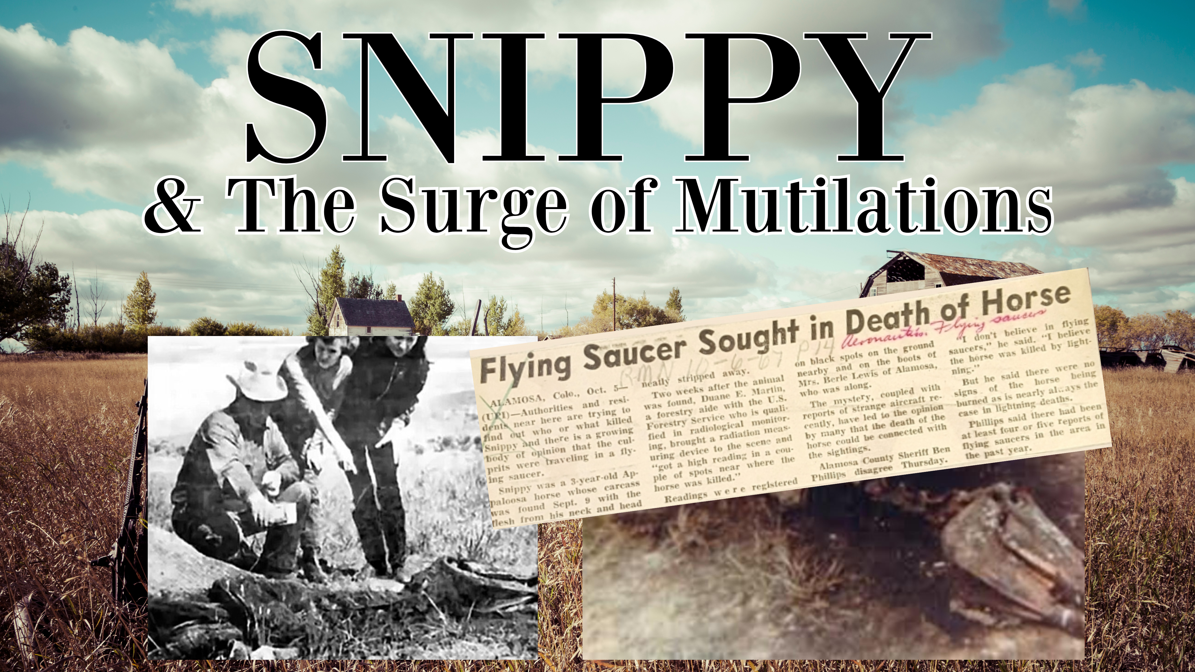 Snippy & The Surge of Mutilations